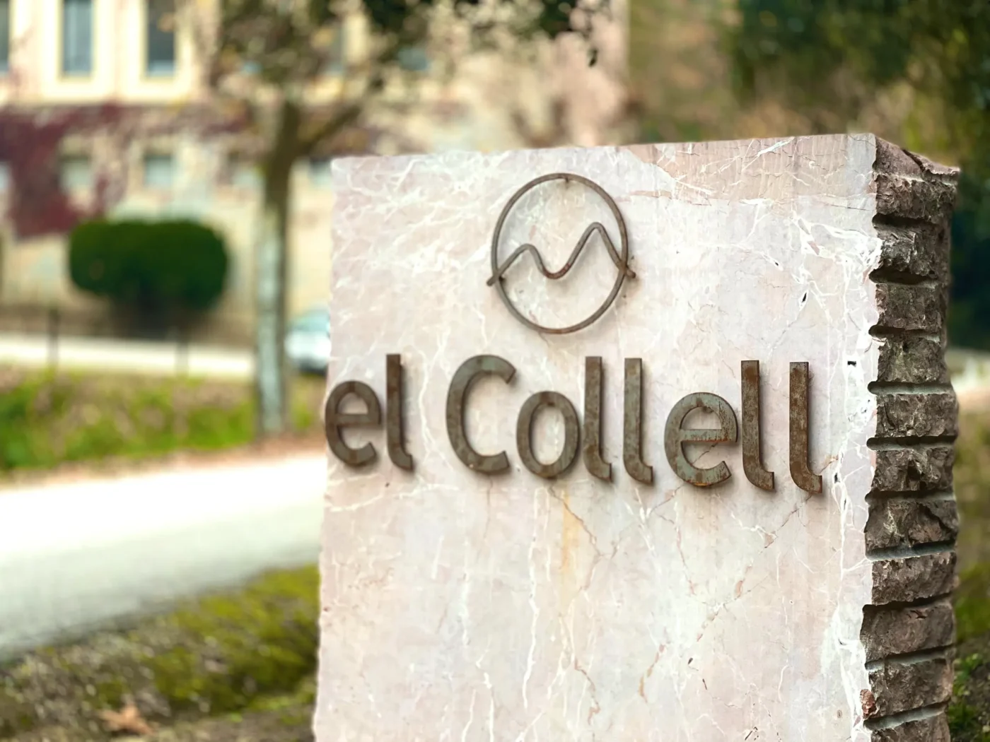 11.1 PEDRA COLLELL ENTRADA
